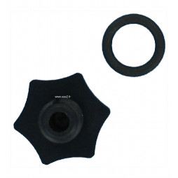 Purge bouchon 1/4" pour Filtre à sable Astralpool 4404290101