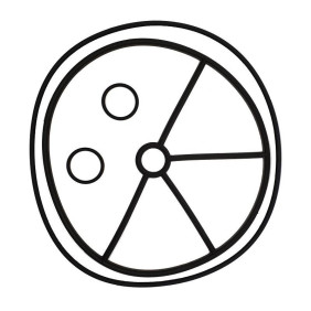 Joint Etoile vanne Magnum 3" Astralpool 4404122004 EAU2