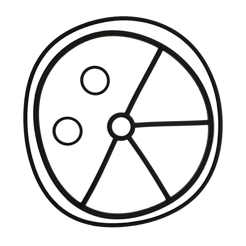 Joint Etoile vanne Magnum 3" Astralpool 4404122004 EAU2