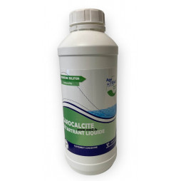 Détartrant nettoyant filtre à sable piscine et electrolyseur liquide bidon 1L Garocalcite