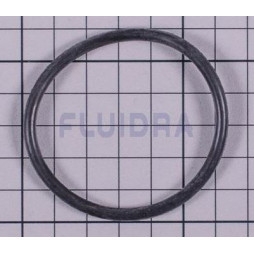 Joint torique de diffuseur pompe Europa, New Europa, Niagara Astralpool 4405010072