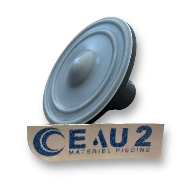 Membrane PTFE pour tête de pompe Ecoplus ECP 1.1l/h Syclope PRO0245