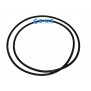 Joint cuve filtre Clarity 99 Astralpool 4404210111 Joint cuve filtre Clarity 99 Astralpool 4404210111