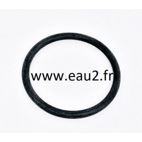 Joint torique diffuseur pompe Alaska Astralpool 4405010699