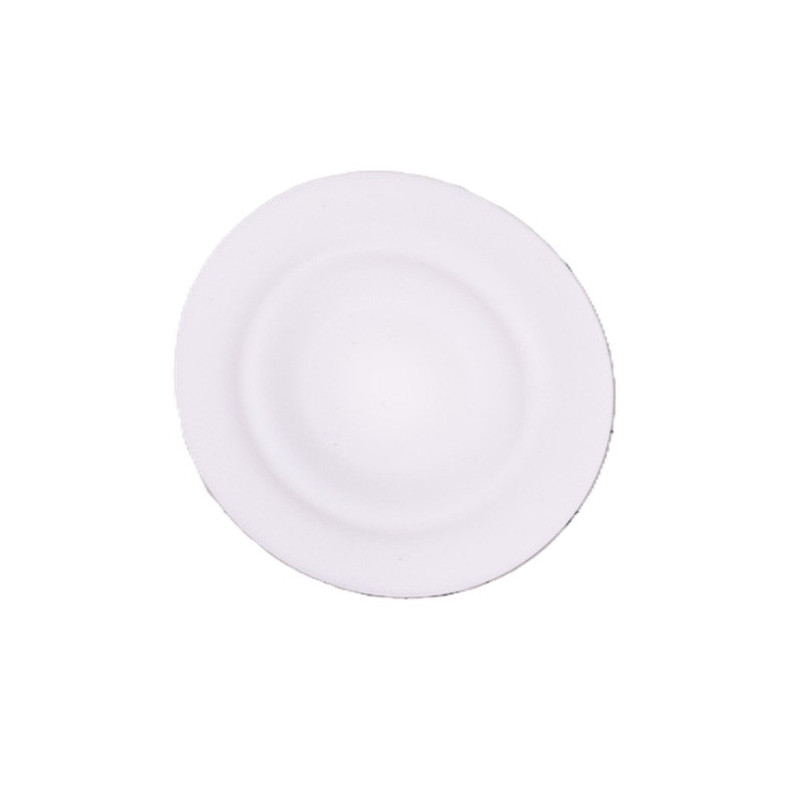Membrane PTFE D54-M80 pour pompe électromagnétique Microdos 00.012.100