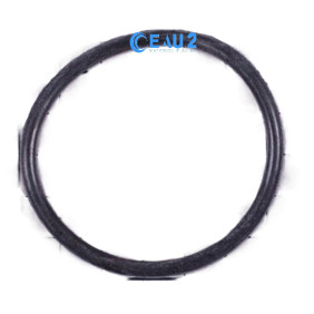 Joint torique de diffuseur pompe Europa Astralpool 4405010072