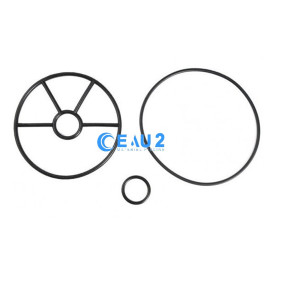 Kit joints Etoile Vanne 6 voies 20569 - 20565 Astralpool 4404121105