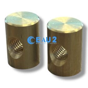 Goujons basculant pour pompe Europa, Astralpool 4405010066