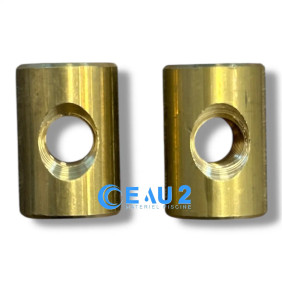 Goujons basculant pour pompe Europa, Astralpool 4405010066