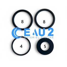 Kit joints clapet anti-retour à piston et vanne boisseau D50, D63 FIP