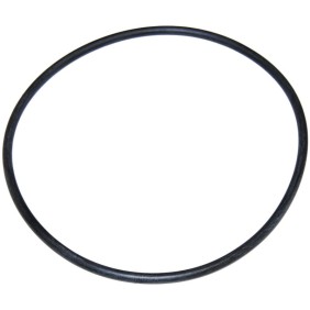 Joint de couvercle de préfiltre pour pompe Niagara Astralpool 4404090101