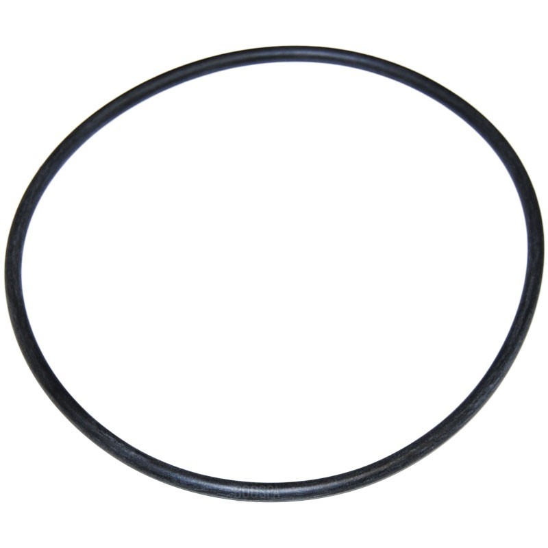 Joint de couvercle de préfiltre pour pompe Niagara Astralpool 4404090101