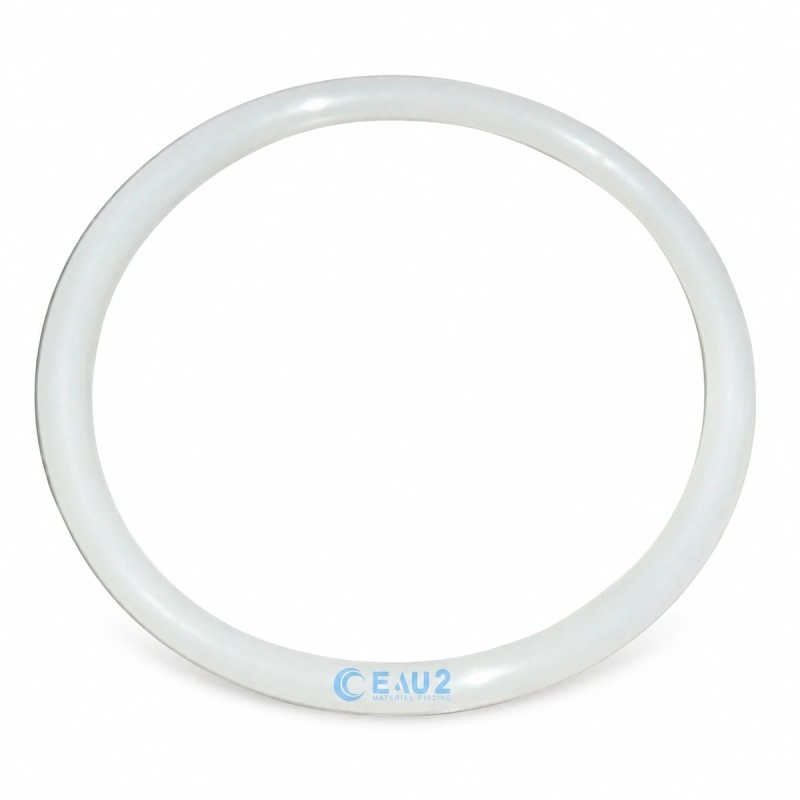 Joint Torique couvercle Filtre Aster Astralpool 4404020111