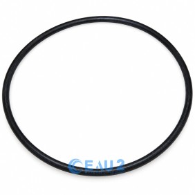 Joint Couvercle de filtre SAB Jupiter 8'' - 101D013 (SNTE) CE04010006