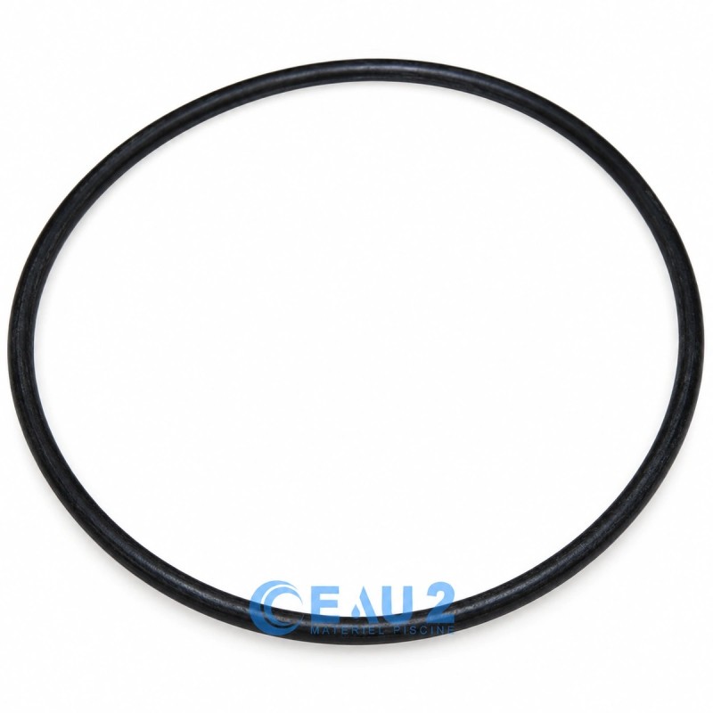 Joint Couvercle de filtre SAB Jupiter 8'' - 101D013 (SNTE) CE04010006