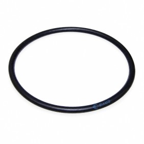 Joint préfiltre pompe Glass plus, victoria plus Astralpool 4405010178