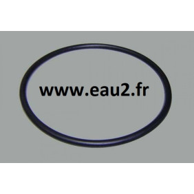 Joint préfiltre pompe Astral Glass plus 4405010178 EAU2