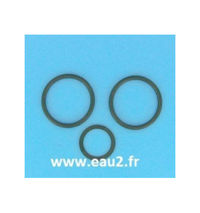 Joints de liaison filtre Vanne 1"1/2 Astralpool EAU2